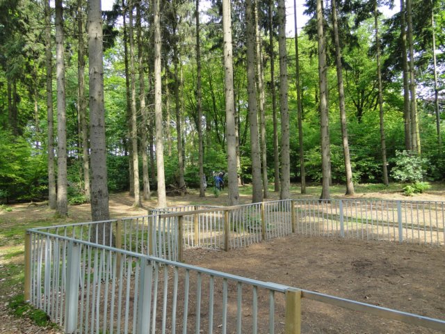 HWK 2012 103.jpg
